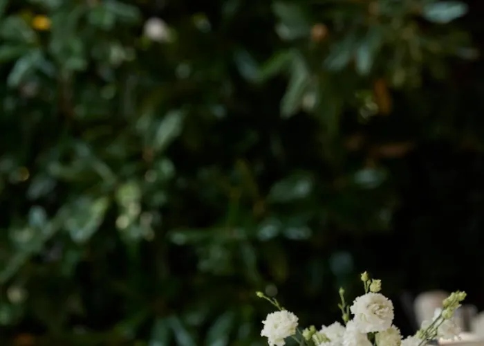 Amadria Park Hotel Sveti Jakov Otel 5*